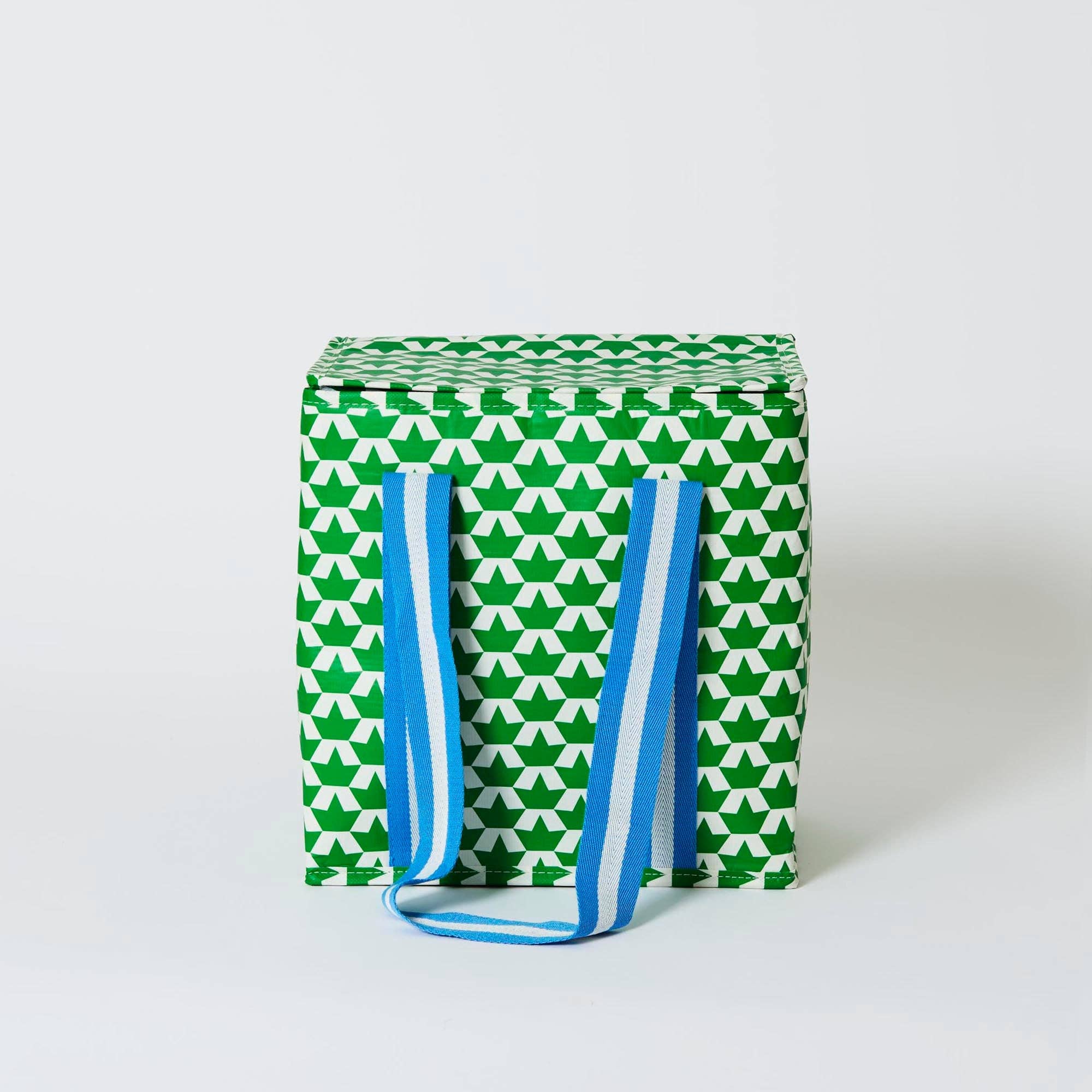 Medium Insulated Tote – Boats