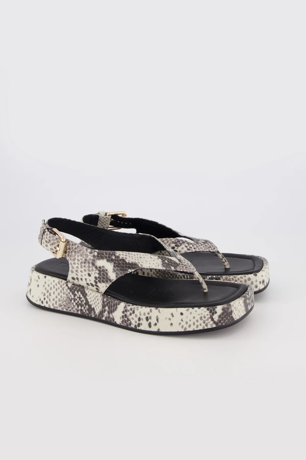 Jocelyn Natural Snake