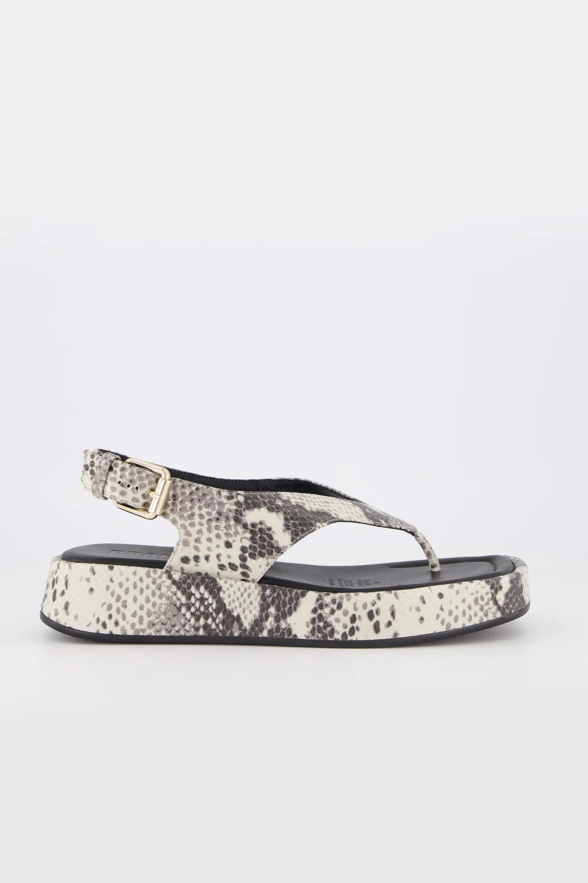 Jocelyn Natural Snake