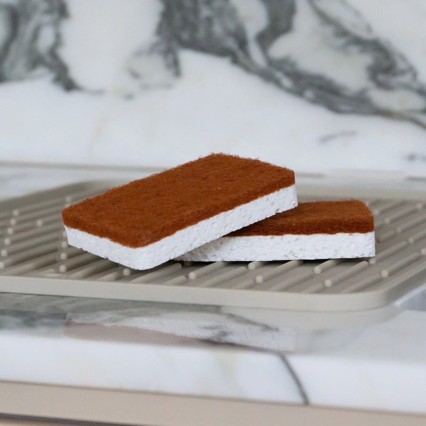 Natural Cellulose and Sisal Scourer Sponge (Set of 2)