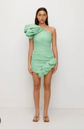 The Wolf Gang mini dress- M
