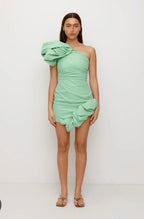The Wolf Gang mini dress- M