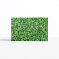 CHOPIT Chopping Board Moss