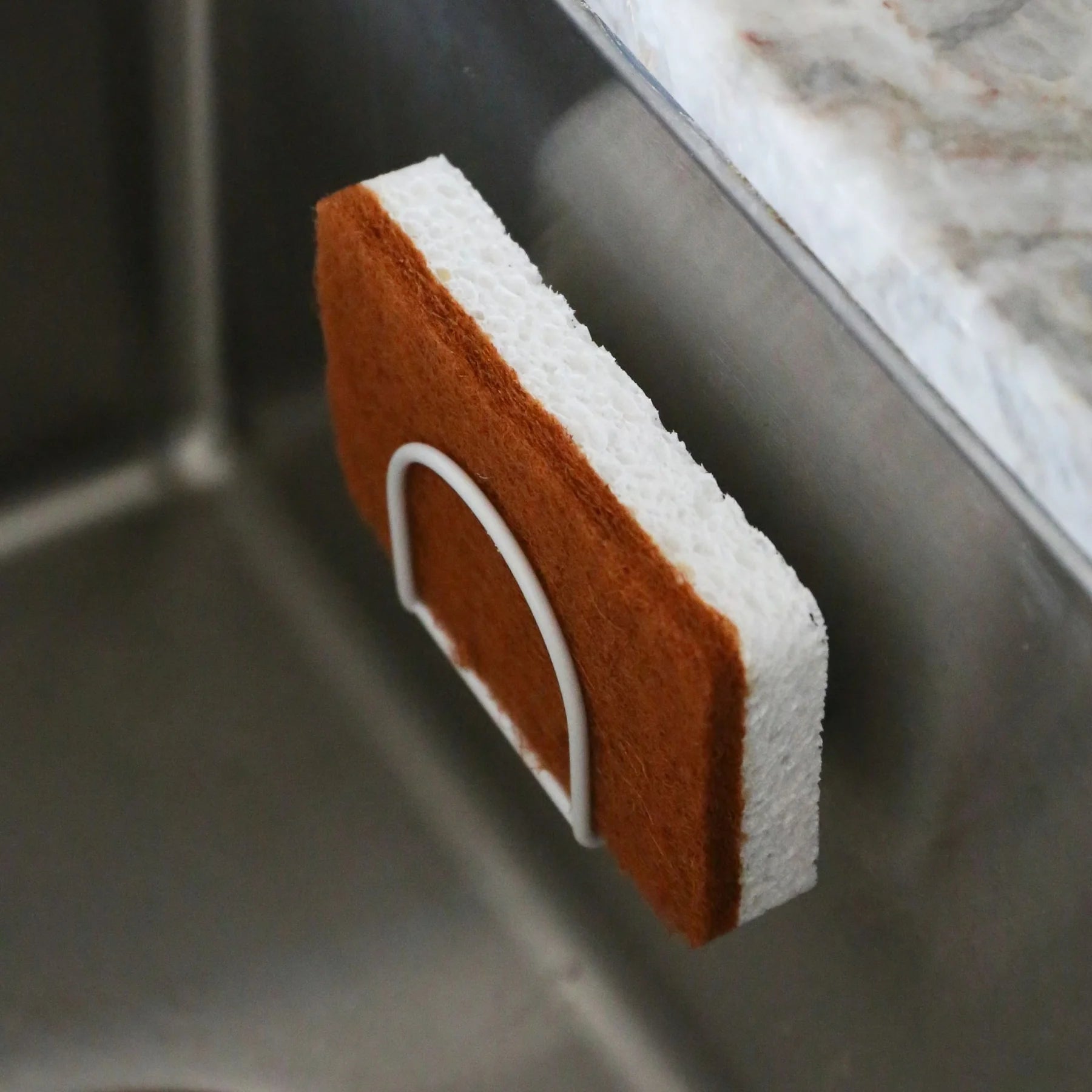 Natural Cellulose and Sisal Scourer Sponge (Set of 2)