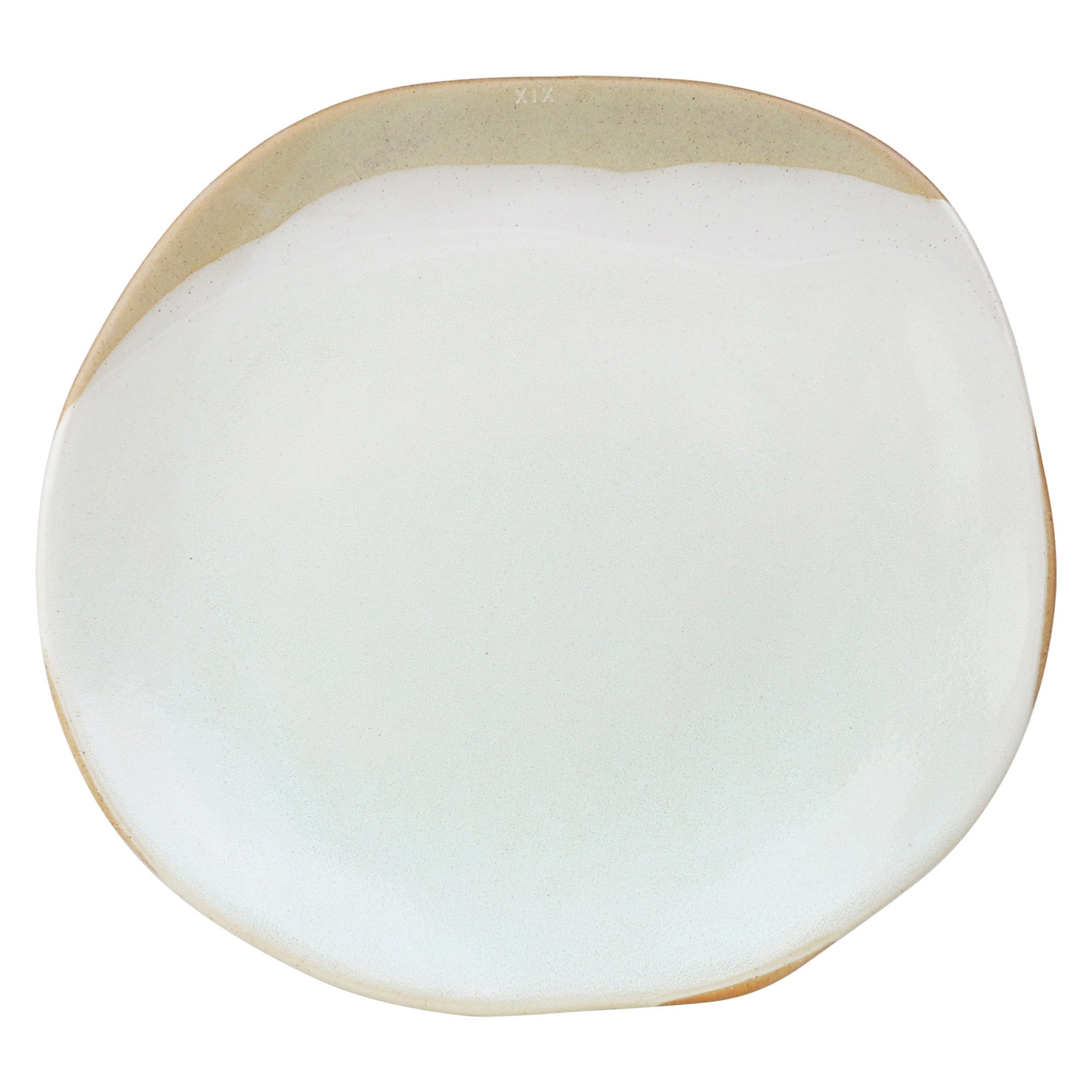 DINNER PLATE 29.5CM - LAGOON FORAGER