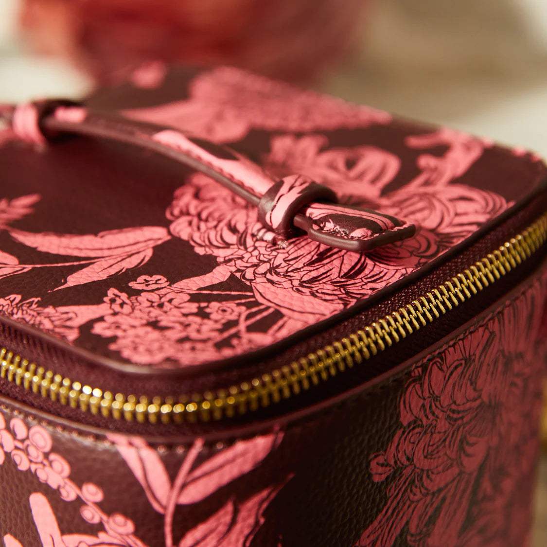 Delphine Small Vanity Case - Garnet